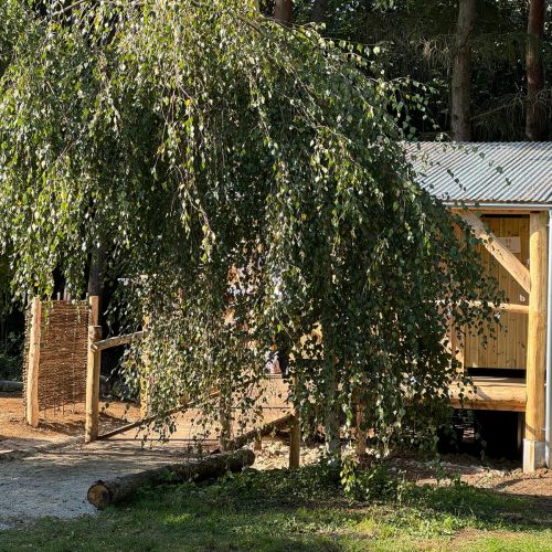 whatsapp-image-2024-09-13-at-16.47.13_a3f0bebd