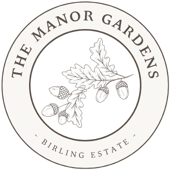 tmg-logo-oct2024-transparent-cream