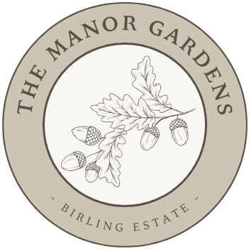 tmg-logo-oct2024-transparent tmg-logo-oct2024-transparent